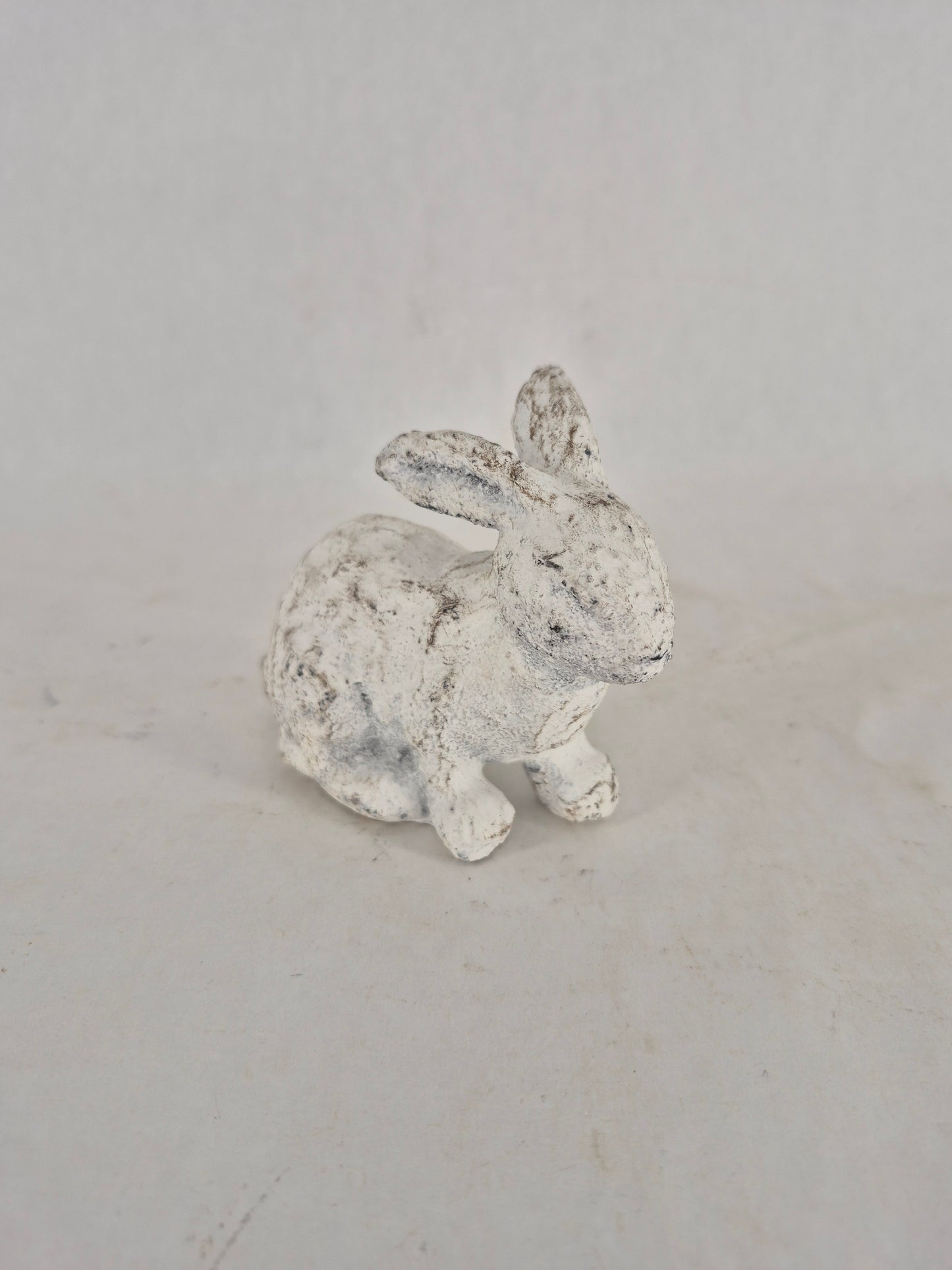 760448 bunny