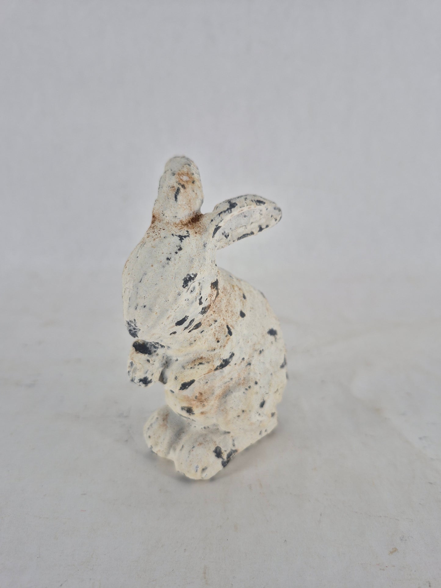 760449 bunny