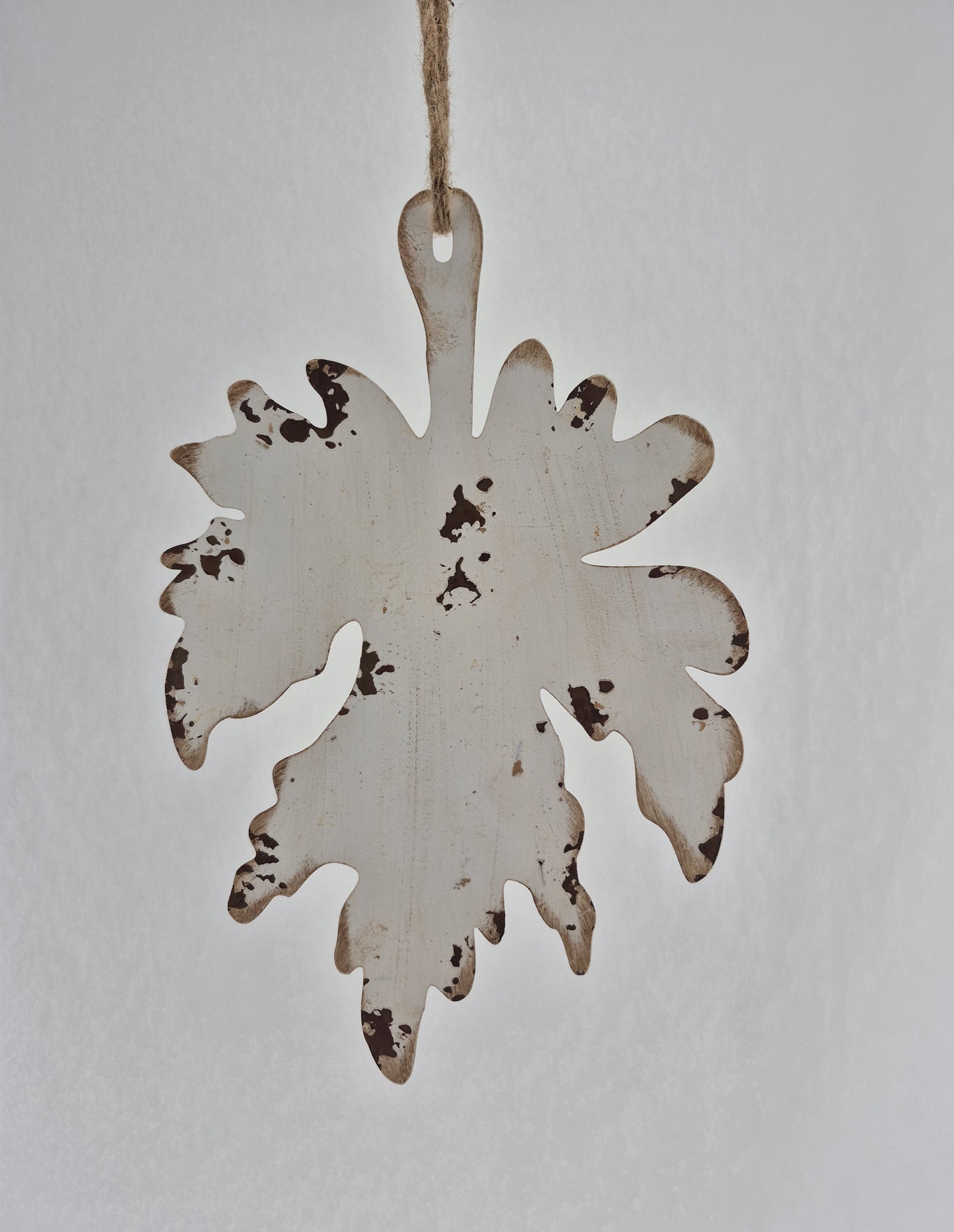 FH176 leaf