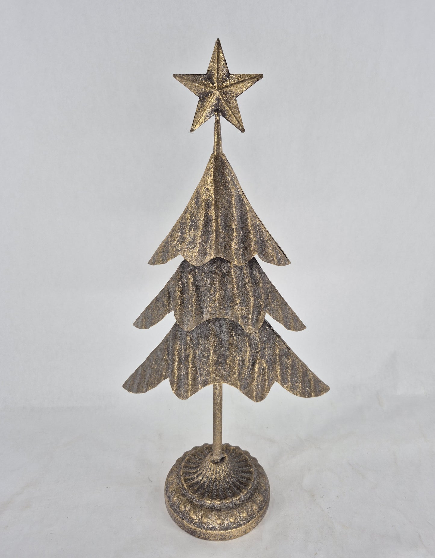 HW240 tree