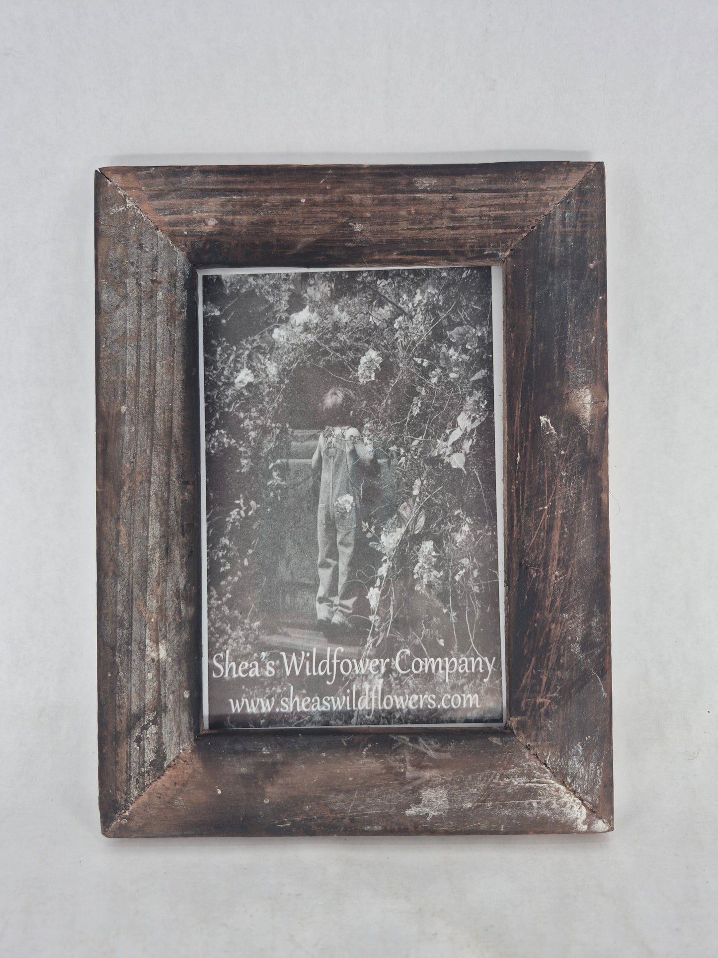 PP429C picture frame