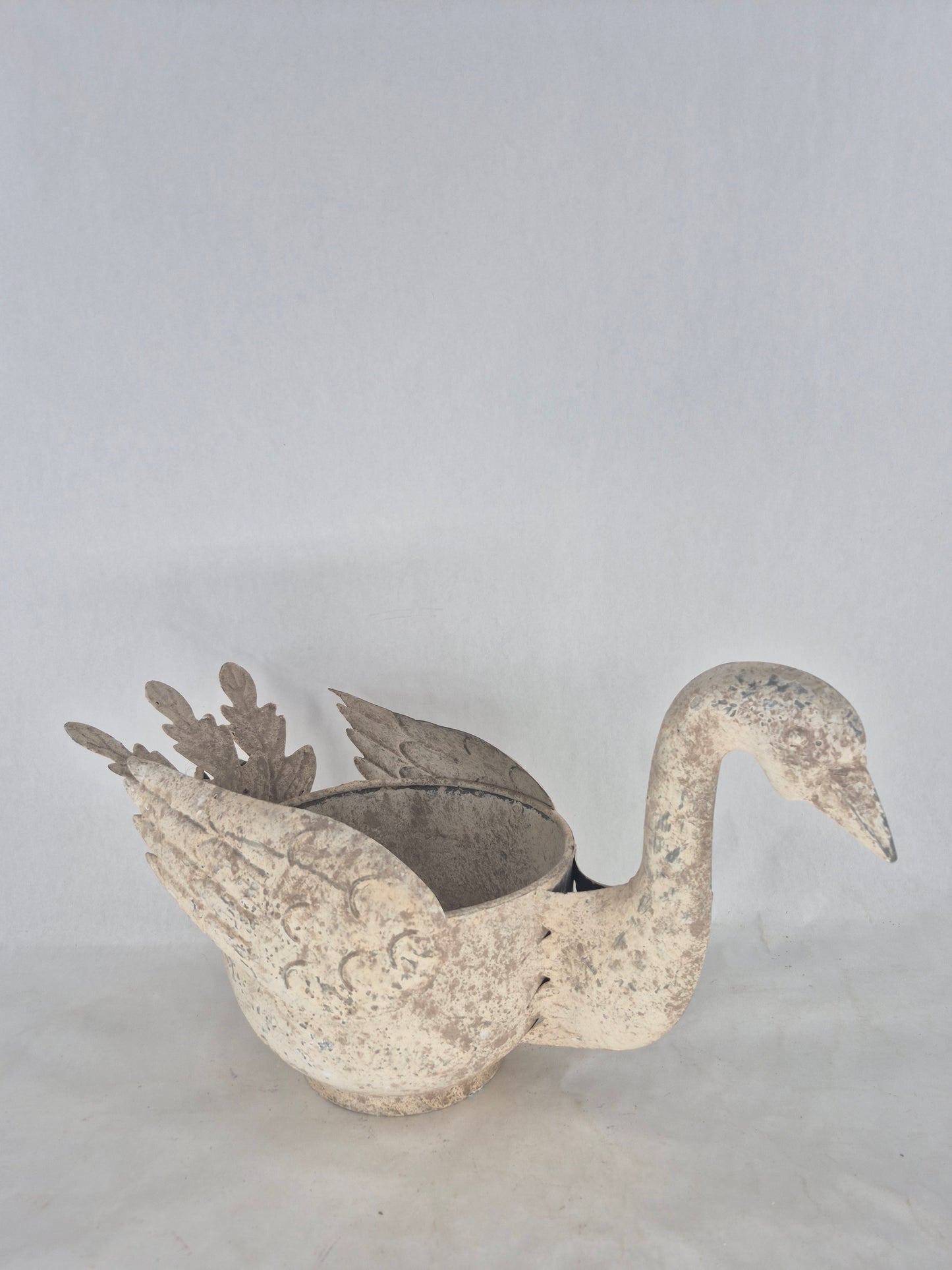 760313 swan