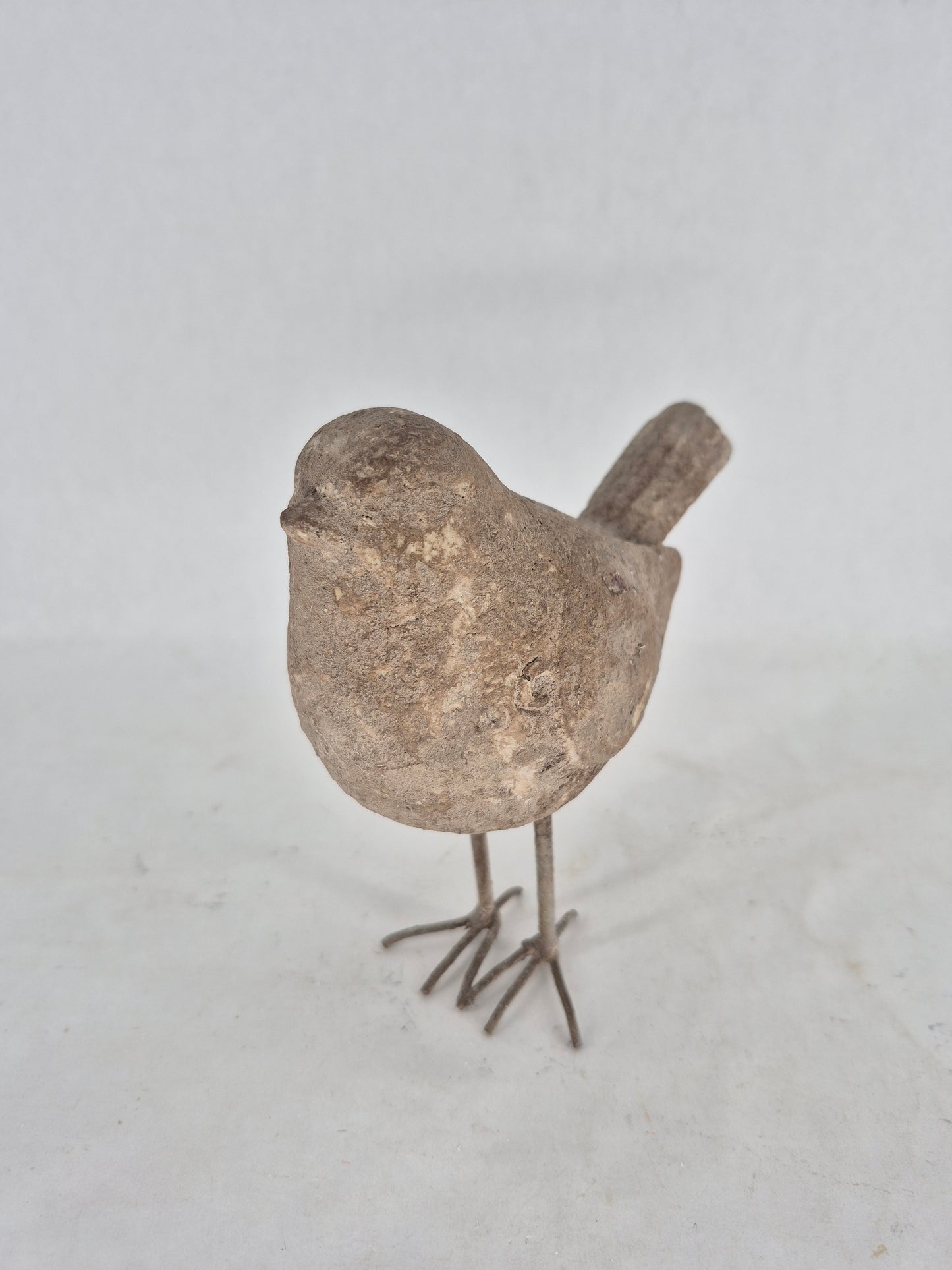 760384 bird