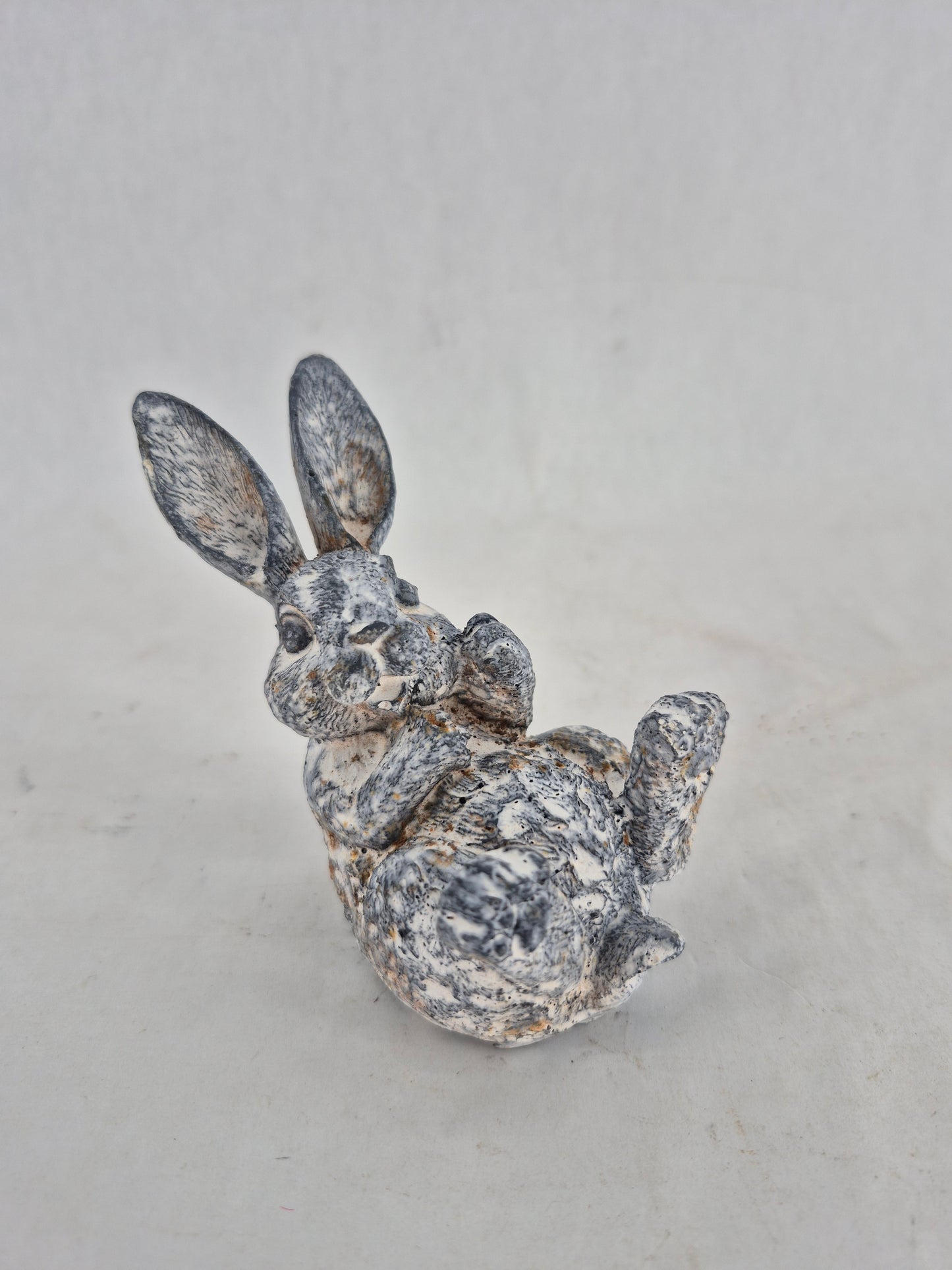 760435 bunny