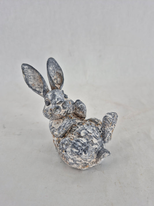 760435 bunny