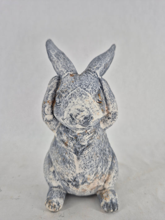 760436 bunny