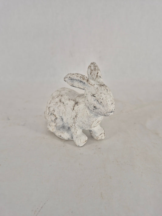 760448 bunny