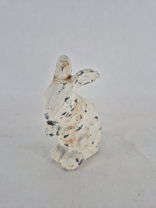 760449 bunny