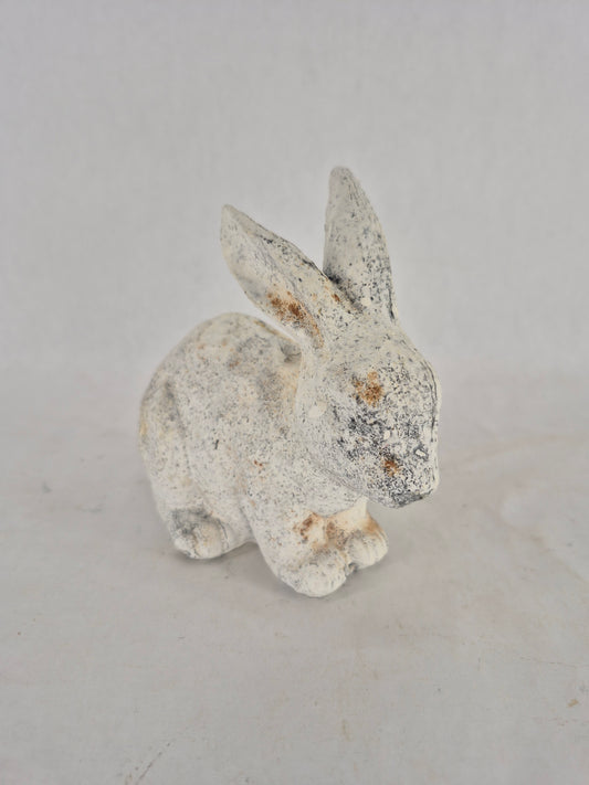 760450 bunny