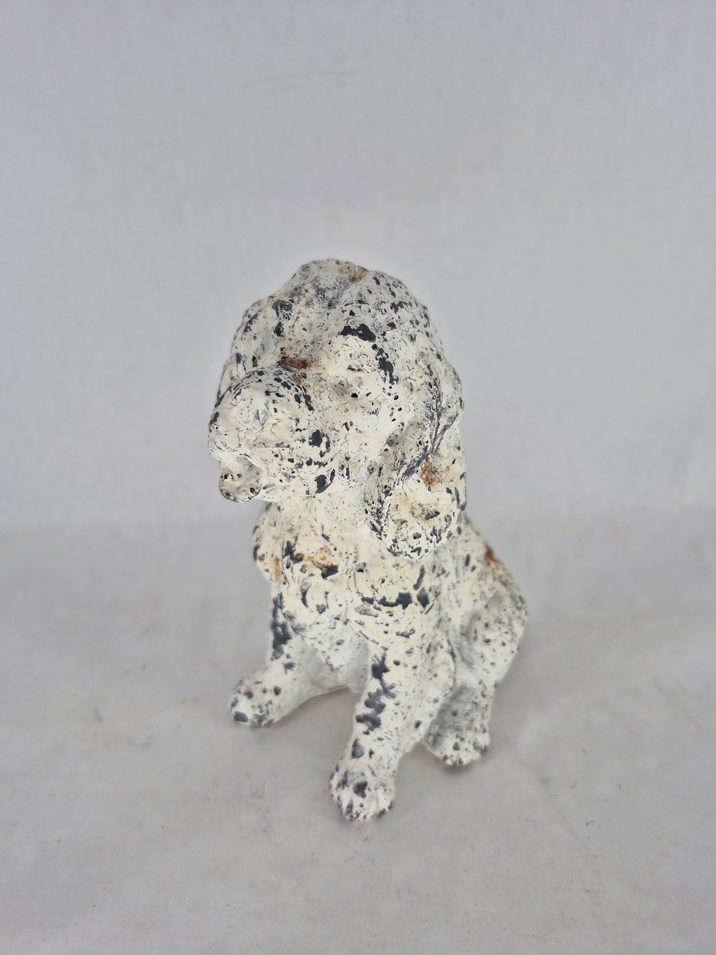 760451 dog
