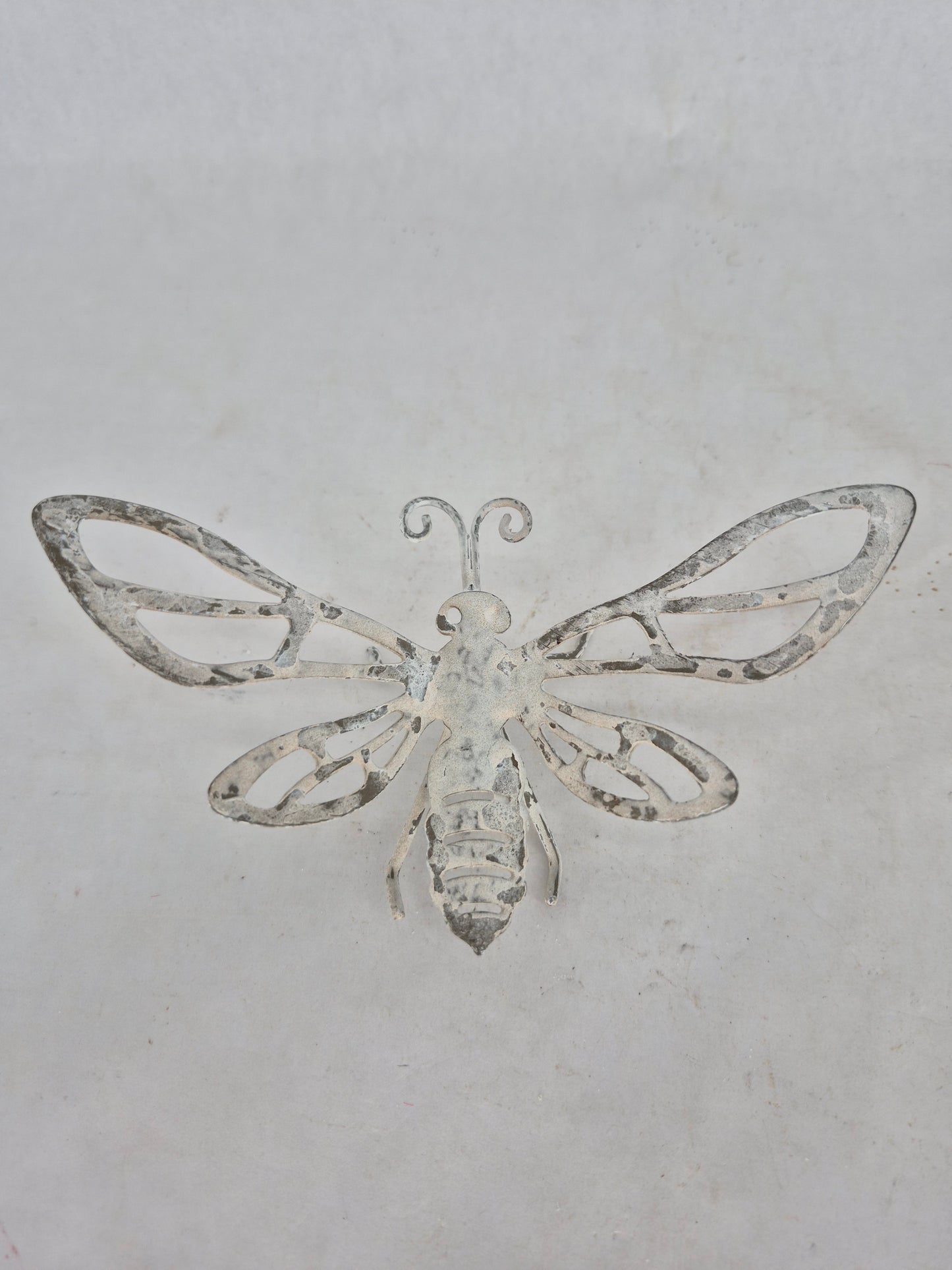 760452 butterfly