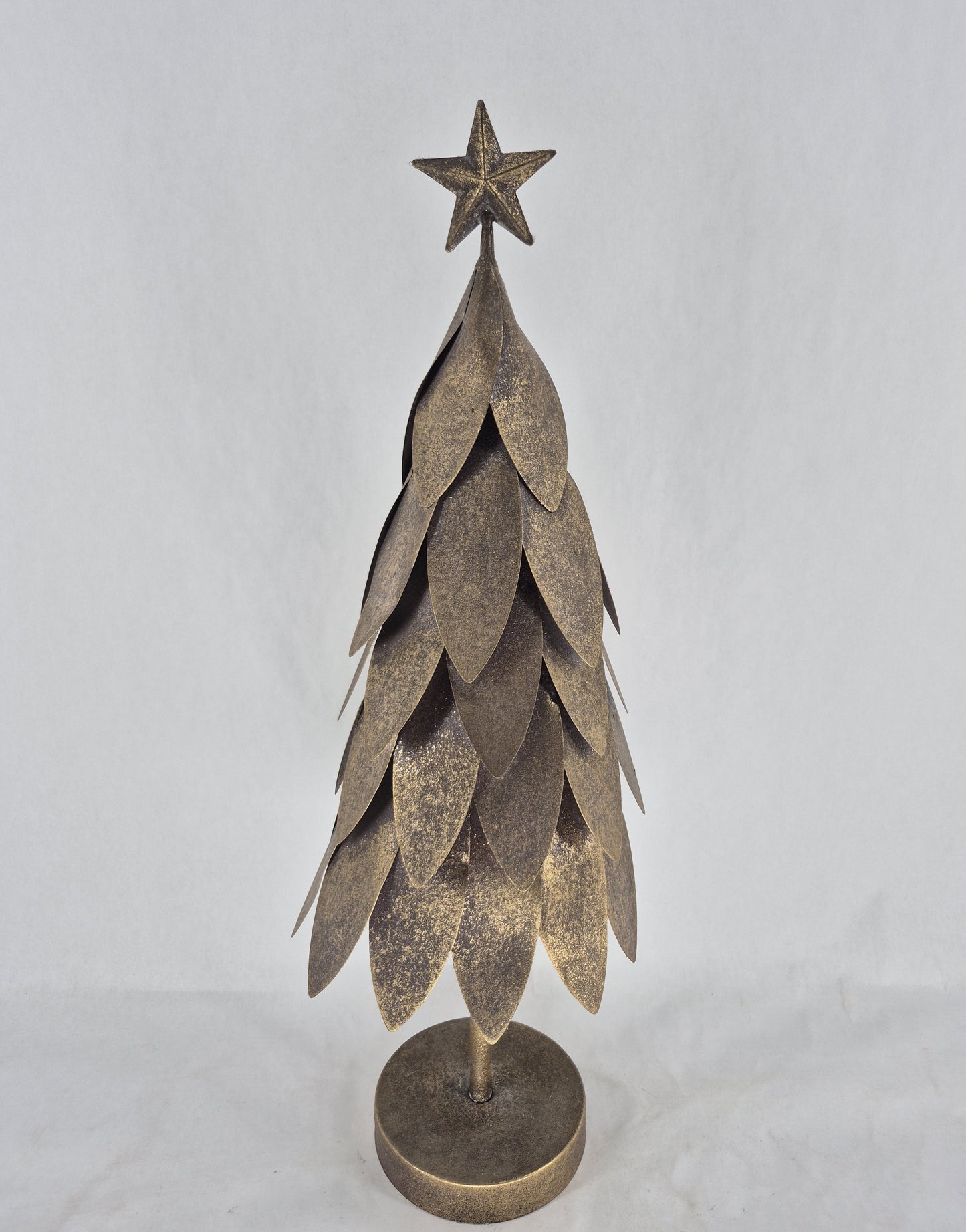 HW261 tree