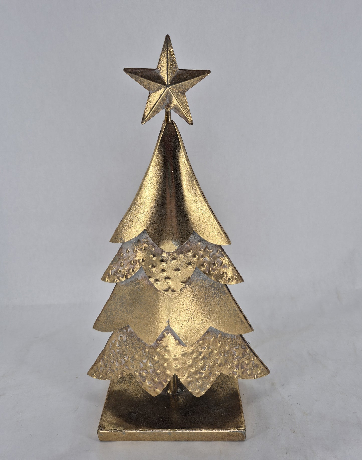 HW262 tree