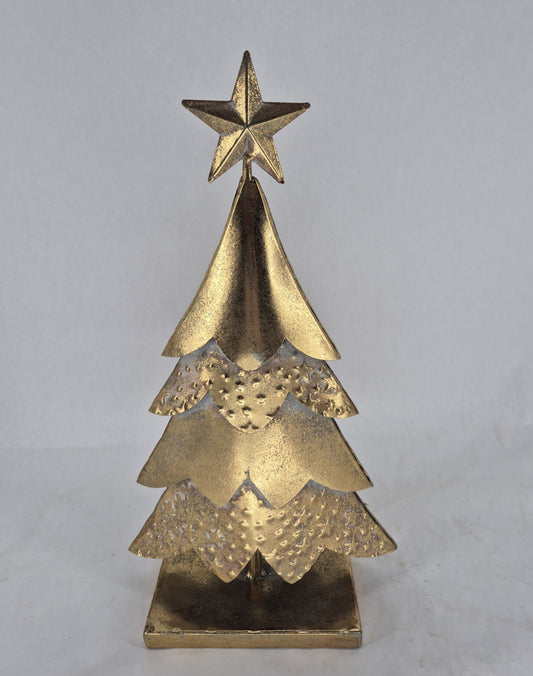 HW262 tree