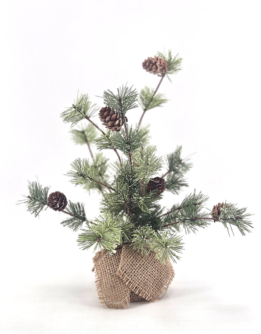 I101 tree