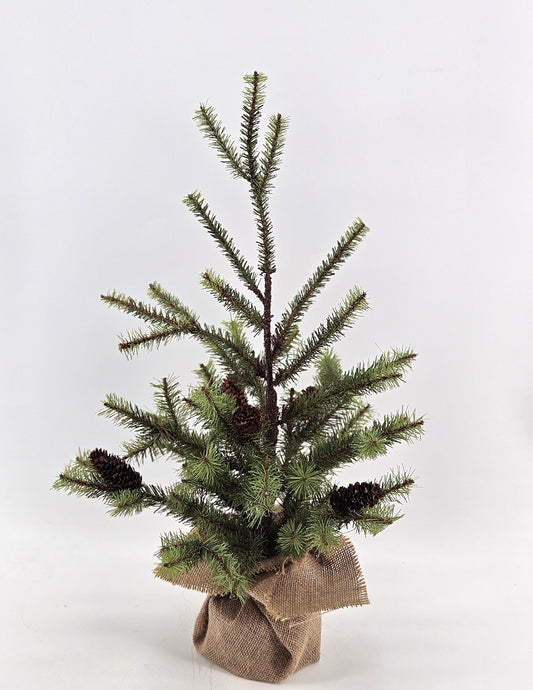 I313 tree