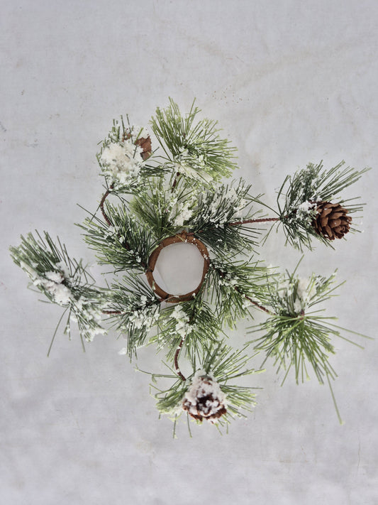 I397A ring
