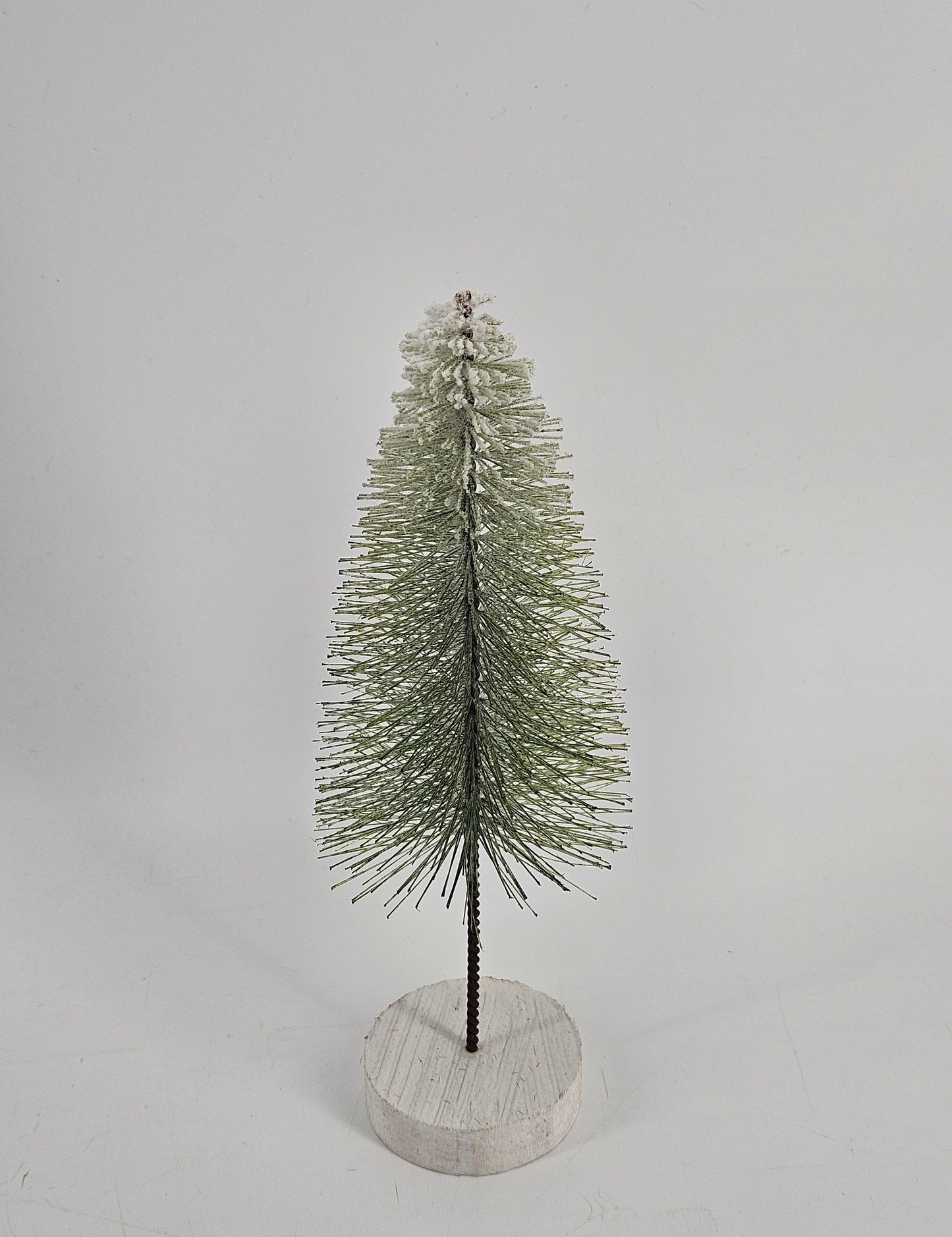 LB111 tree