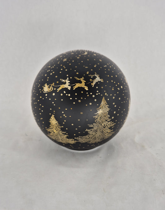 XS245 globe